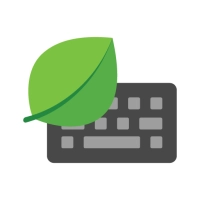 Mint Keyboard (Premium)