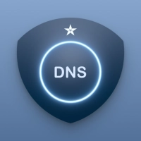 DNS Changer MOD