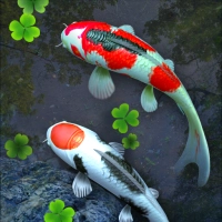 Water Garden Live Wallpaper MOD
