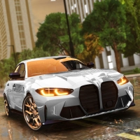 Driving School Simulator EVO MOD